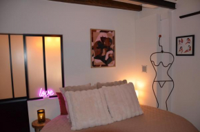 Secret room jacuzzi vieille ville Annecy